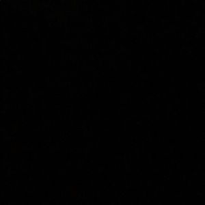 Meet your Posher, Donovan